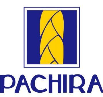 Pt. Pachira Distrinusa